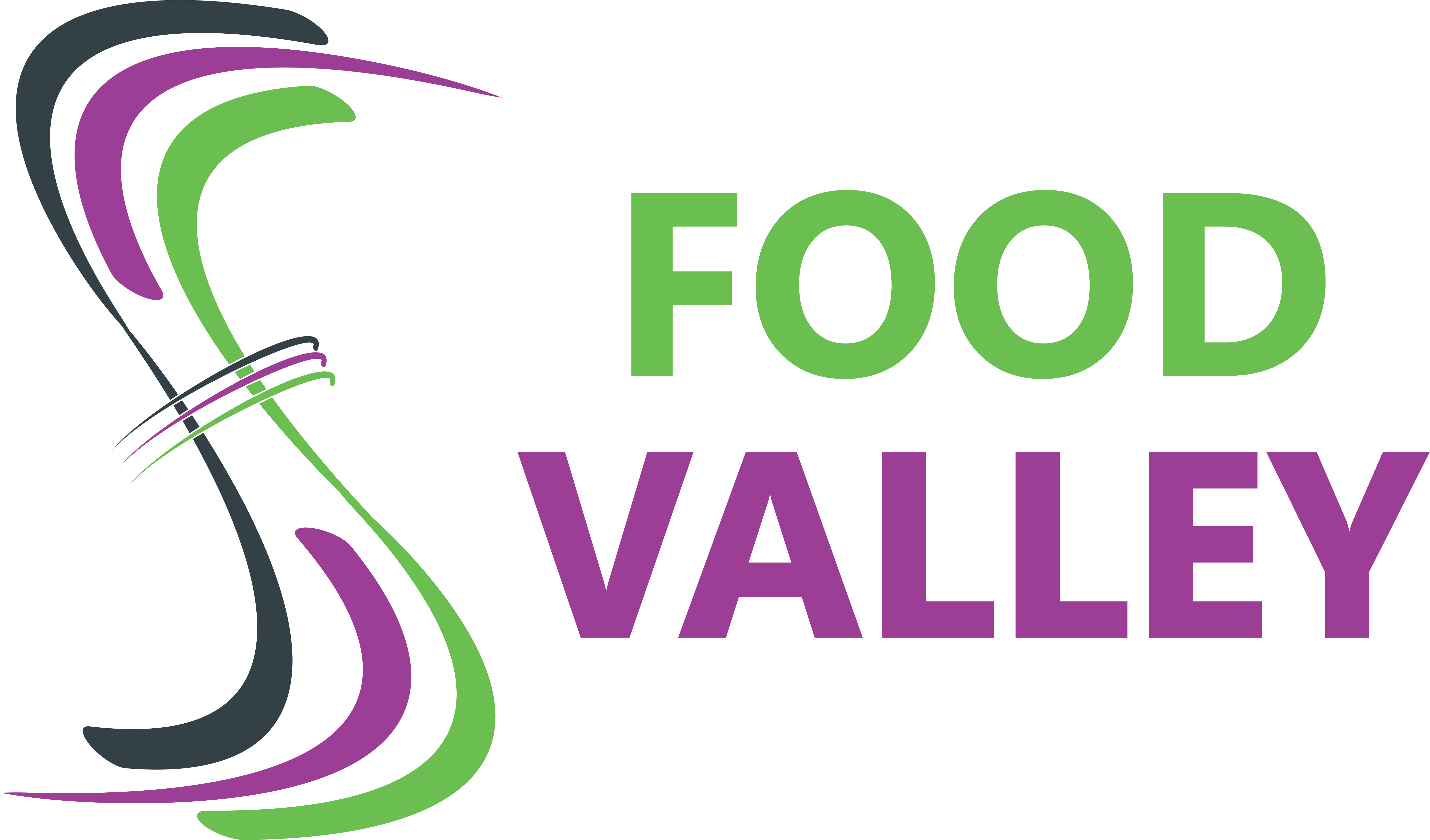 food-valley-logo